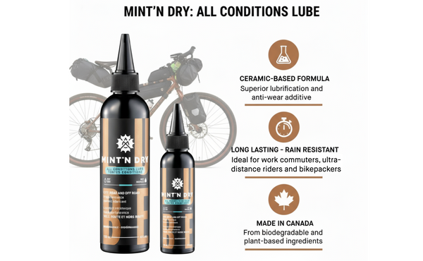 MINT'N DRY All Conditions Benefits